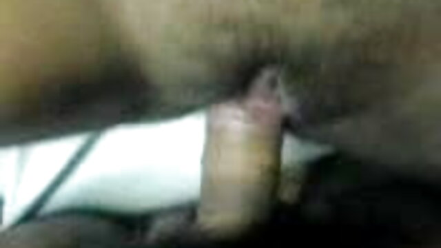 सेक्सी समलैंगिक लड़कियों को बिल्ली चाटना सेक्सी इंग्लिश वीडियो मूवी