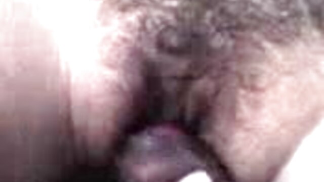 सुंदरता को इंग्लिश इंग्लिश सेक्सी मूवी गड़बड़ कर दिया